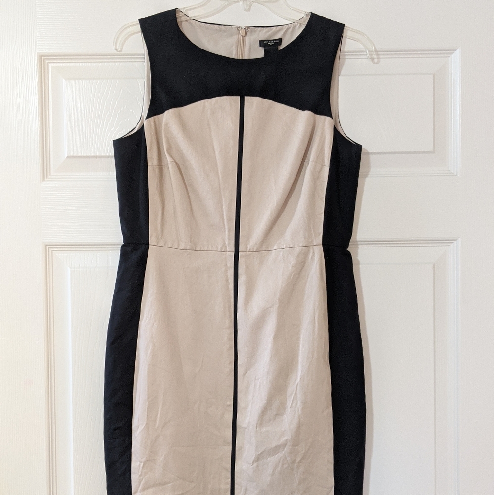 Ann Taylor Black Color Block Dress 8P